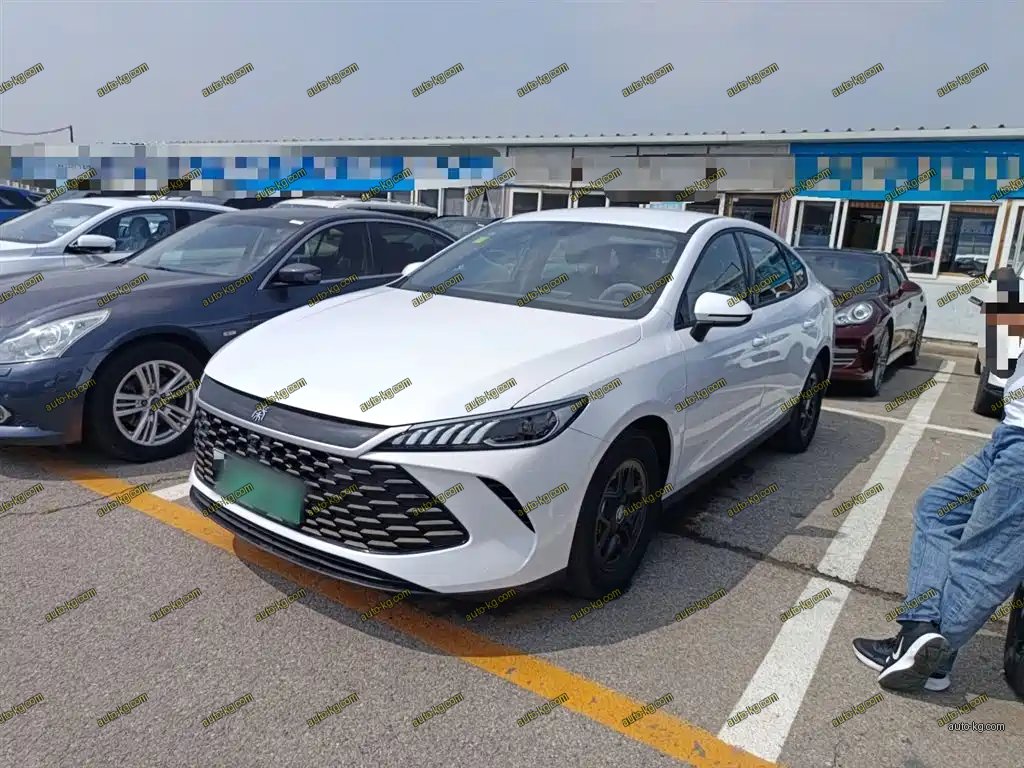 BYD Qin PLUS 2025