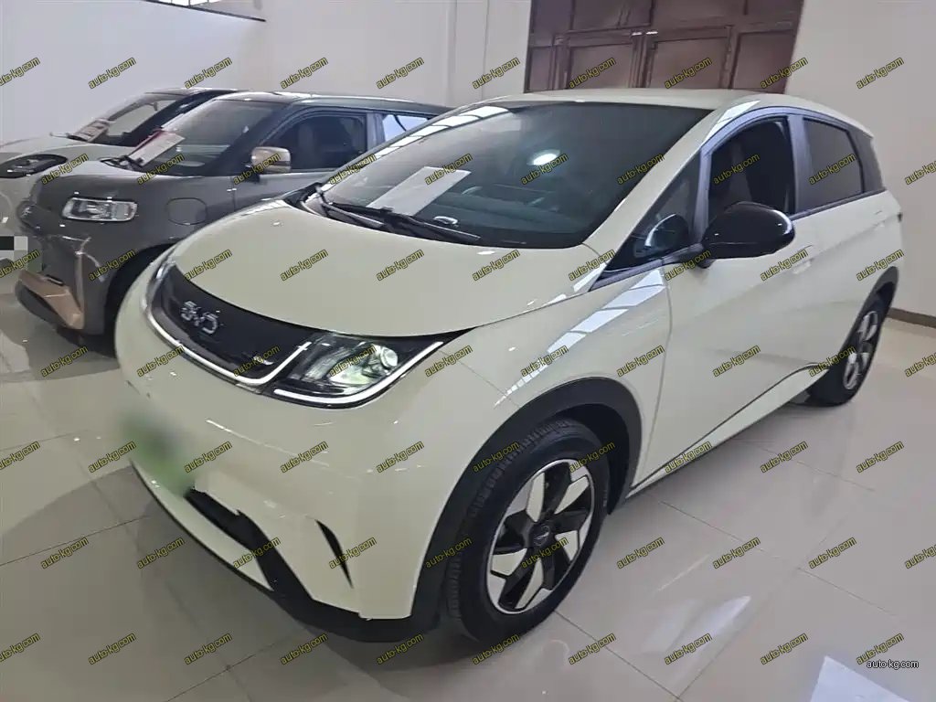 BYD Dolphin 2025