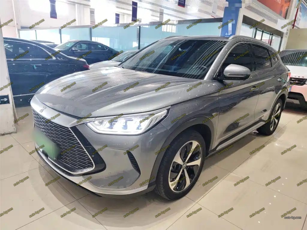 BYD PLUS New Energy 2022