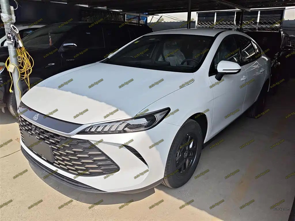 BYD Qin PLUS 2026