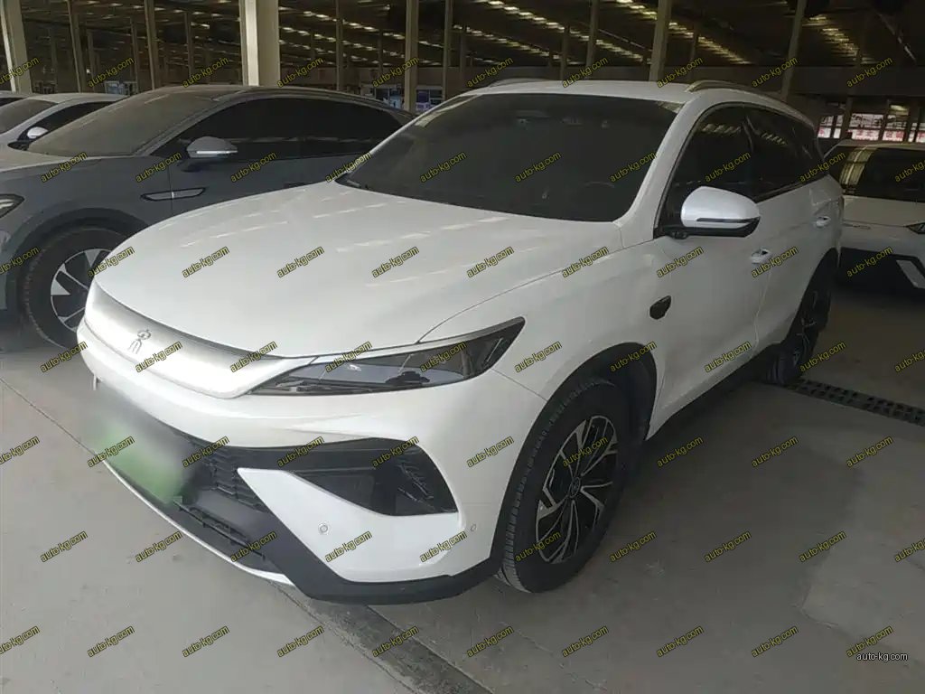 BYD Pro New Energy 2025