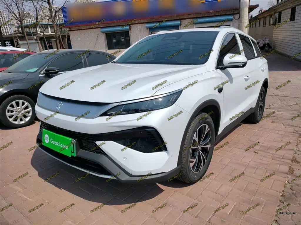 BYD Pro New Energy 2025