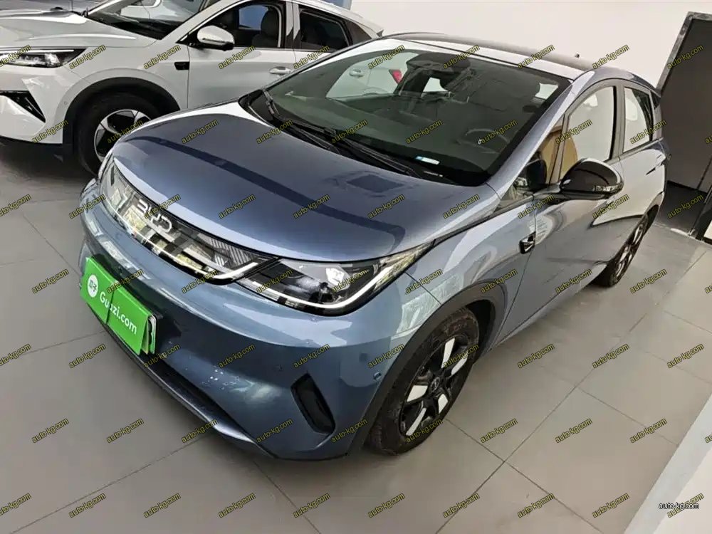 BYD Dolphin 2025