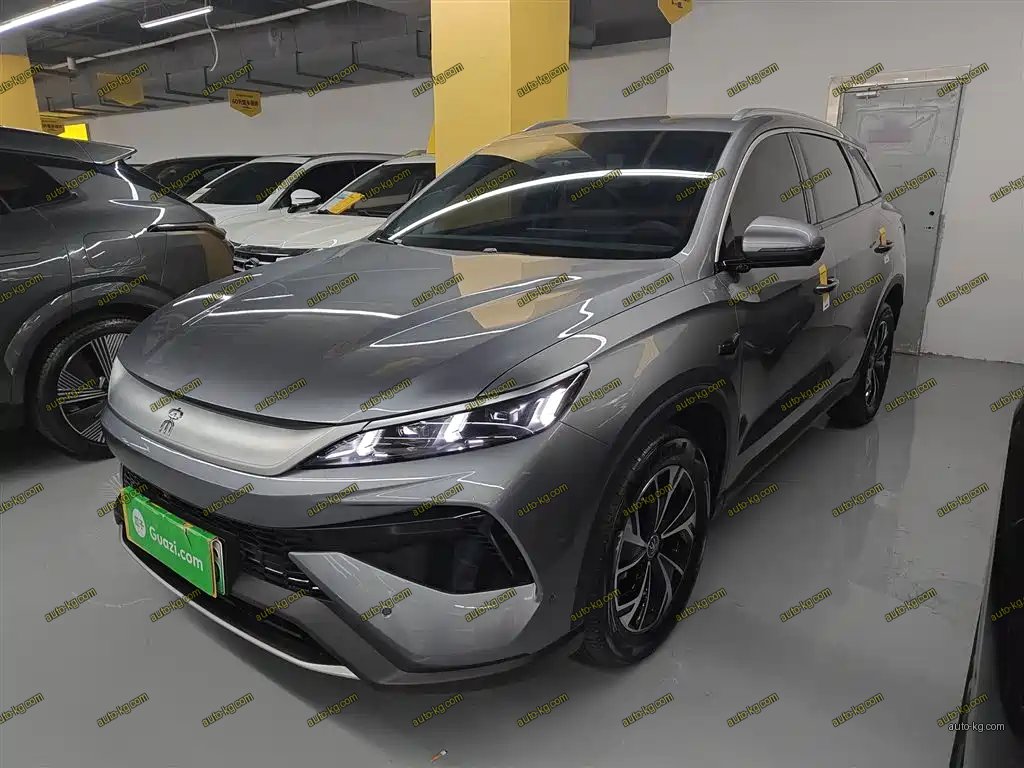 BYD Pro New Energy 2025