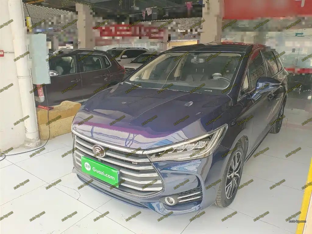 BYD MAX 2019