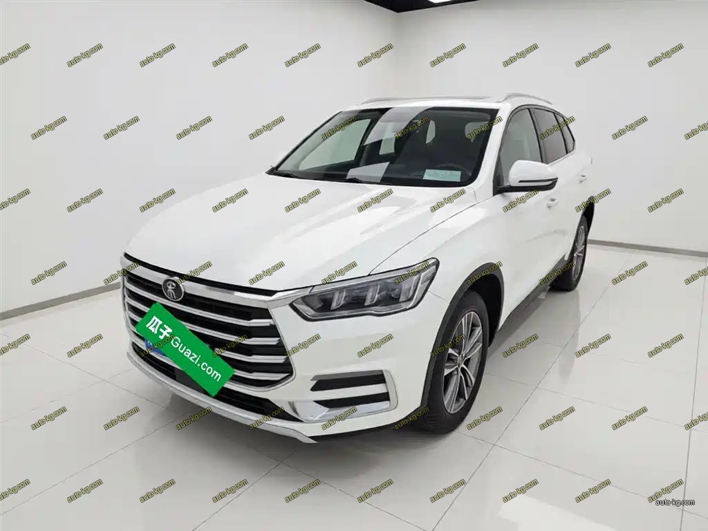 BYD Pro 2020