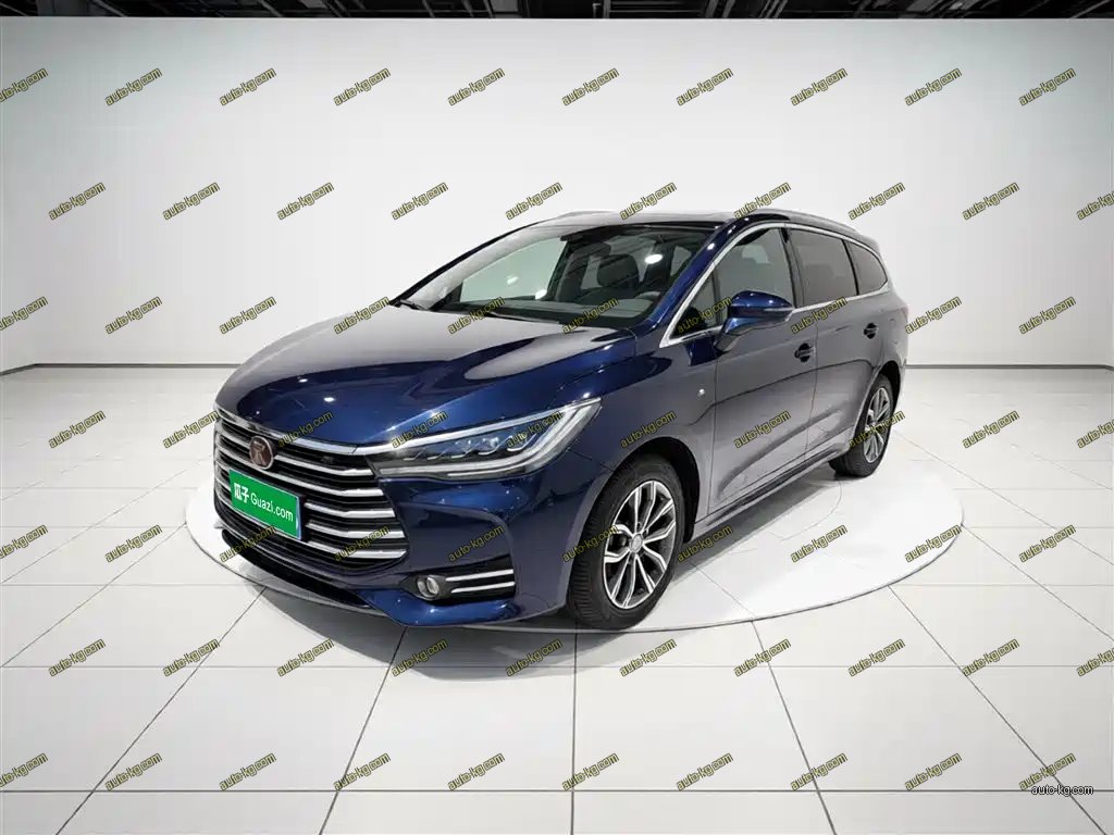 BYD MAX 2019