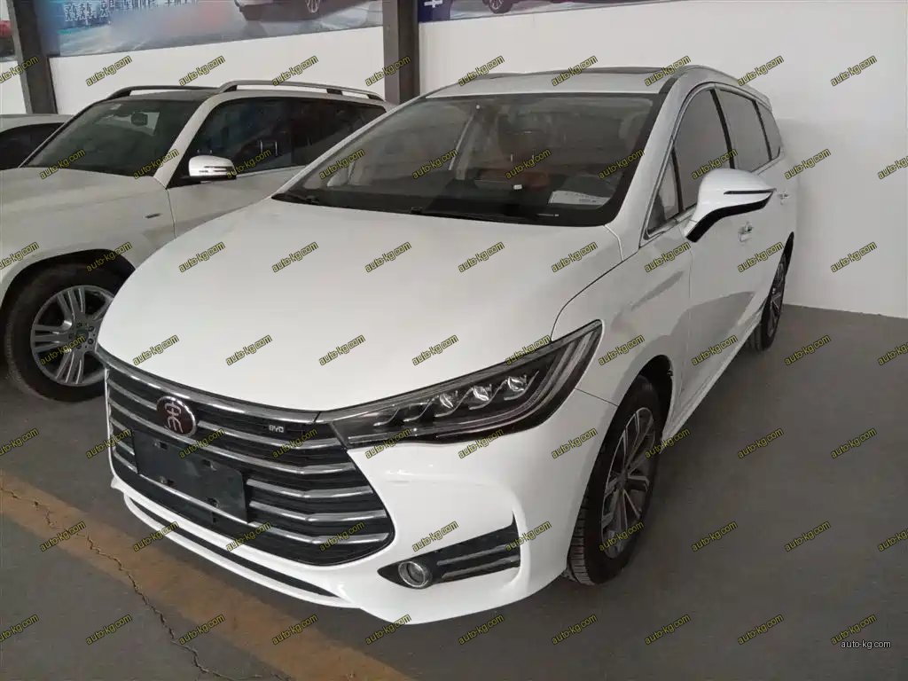 BYD MAX 2019