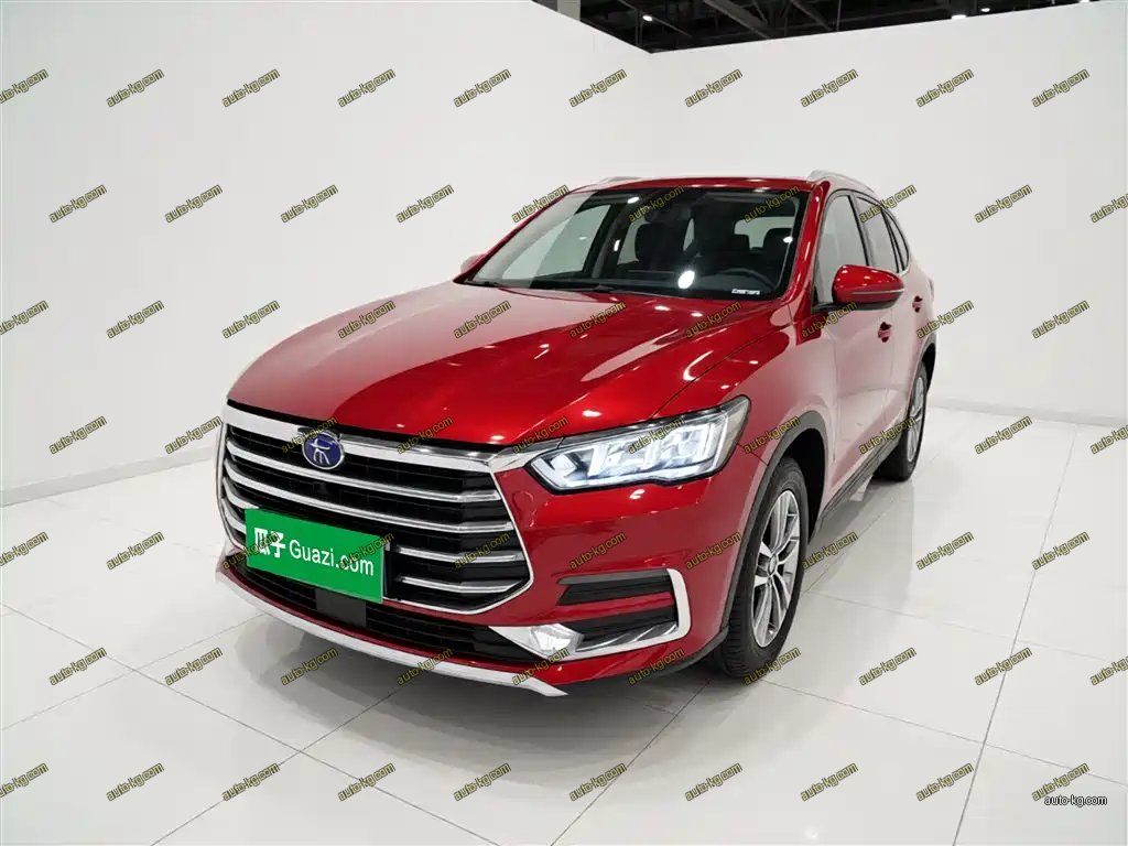 BYD Pro 2021