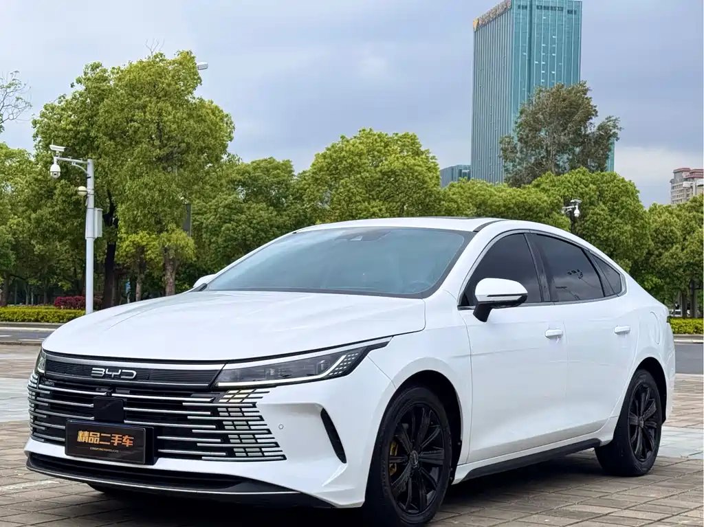 BYD Destroyer 05 2022