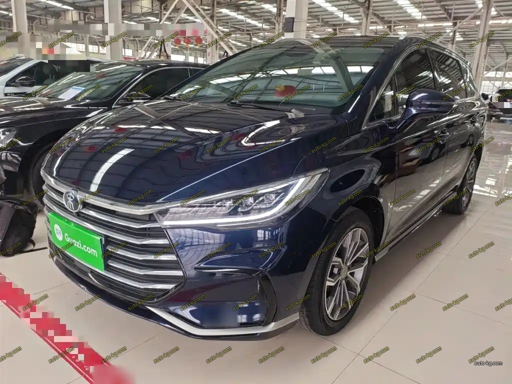 BYD MAX 2020