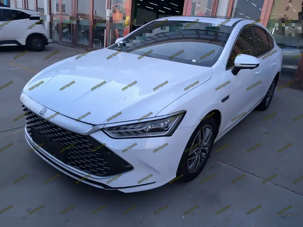 BYD Qin PLUS 2023