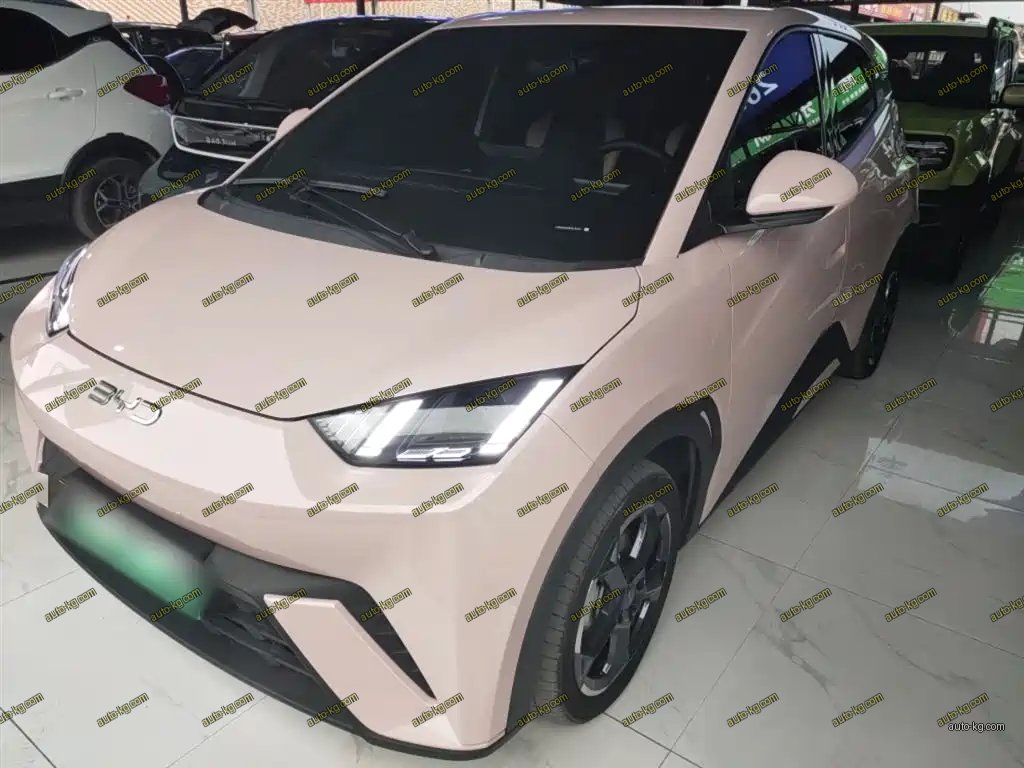 BYD Seagull 2024