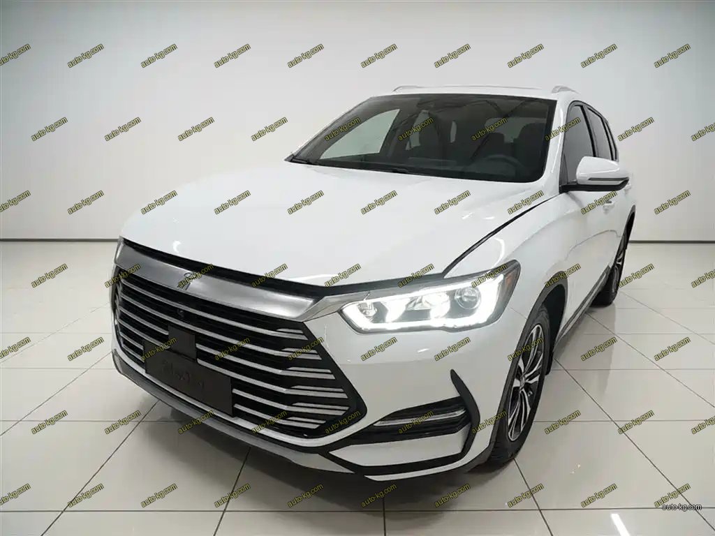 BYD Pro 2021
