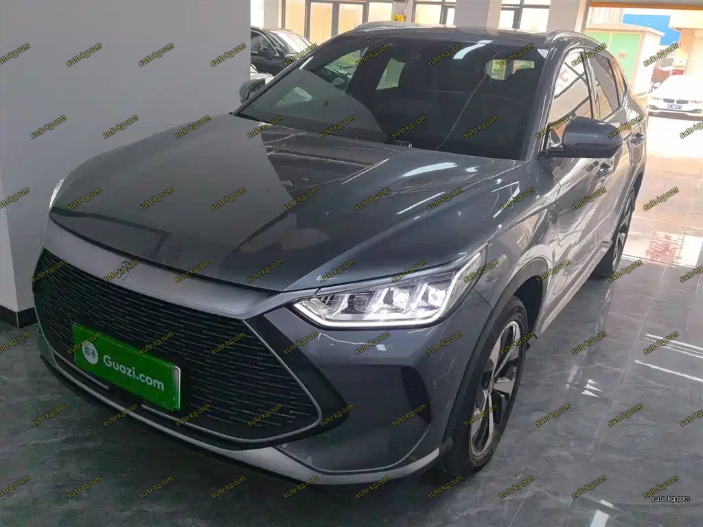 BYD PLUS New Energy 2021