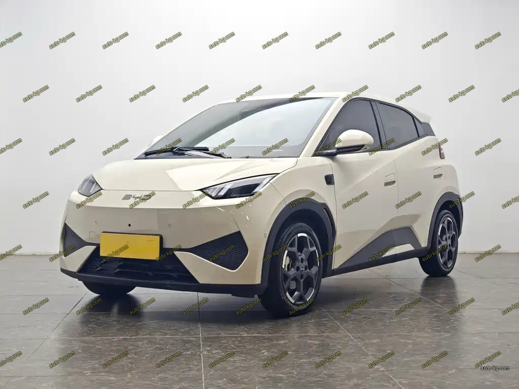 BYD Seagull 2025