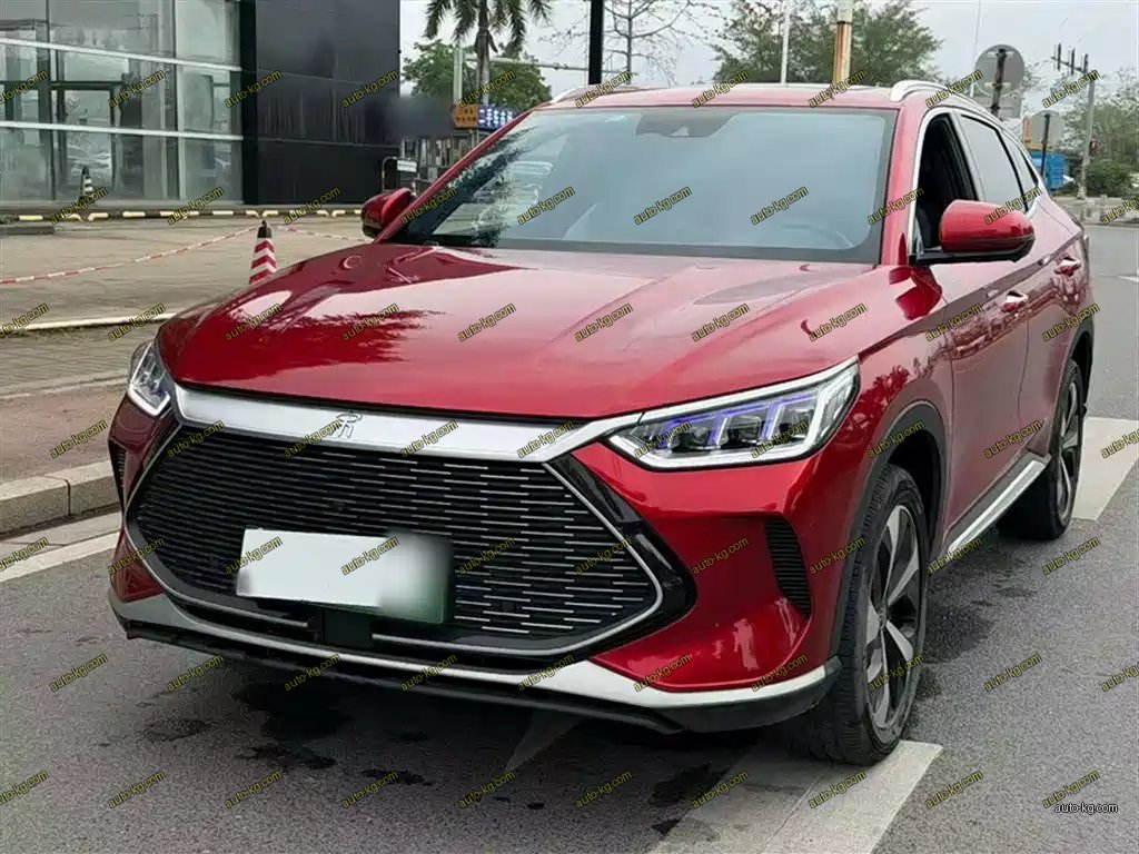 BYD PLUS New Energy 2022
