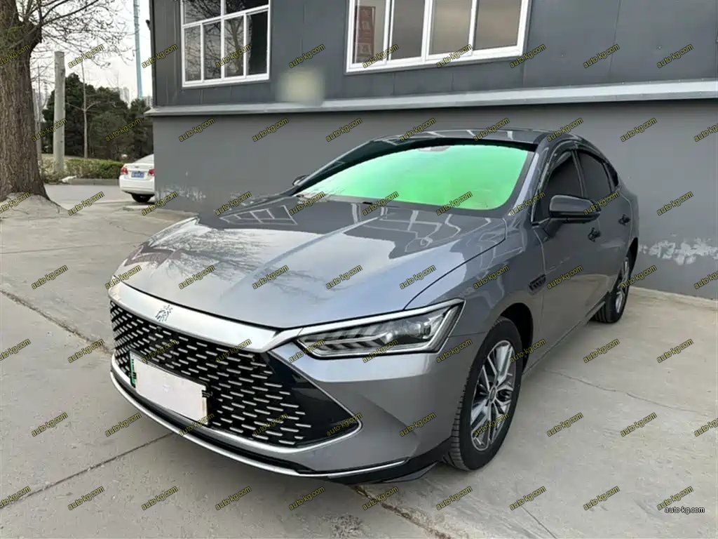 BYD Qin PLUS 2024