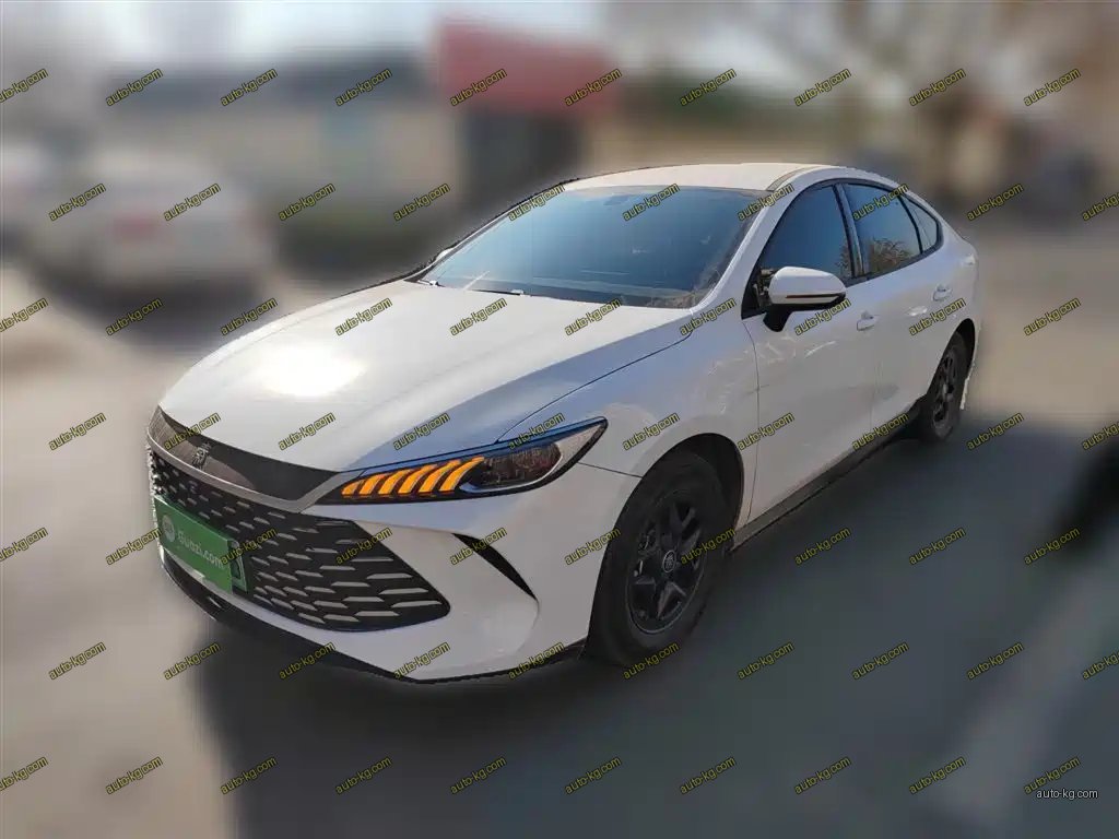 BYD Qin PLUS 2025