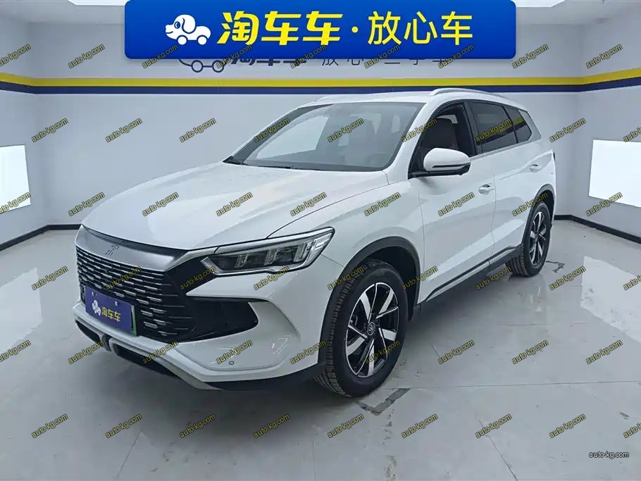 BYD Pro New Energy 2024