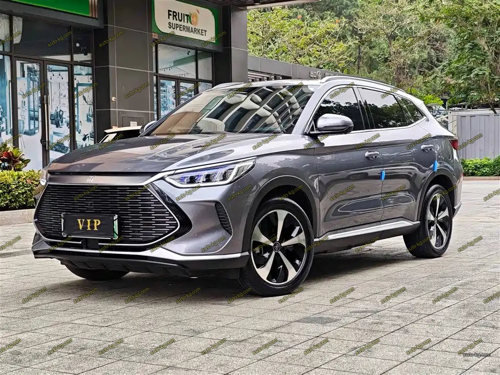 BYD PLUS New Energy 2022