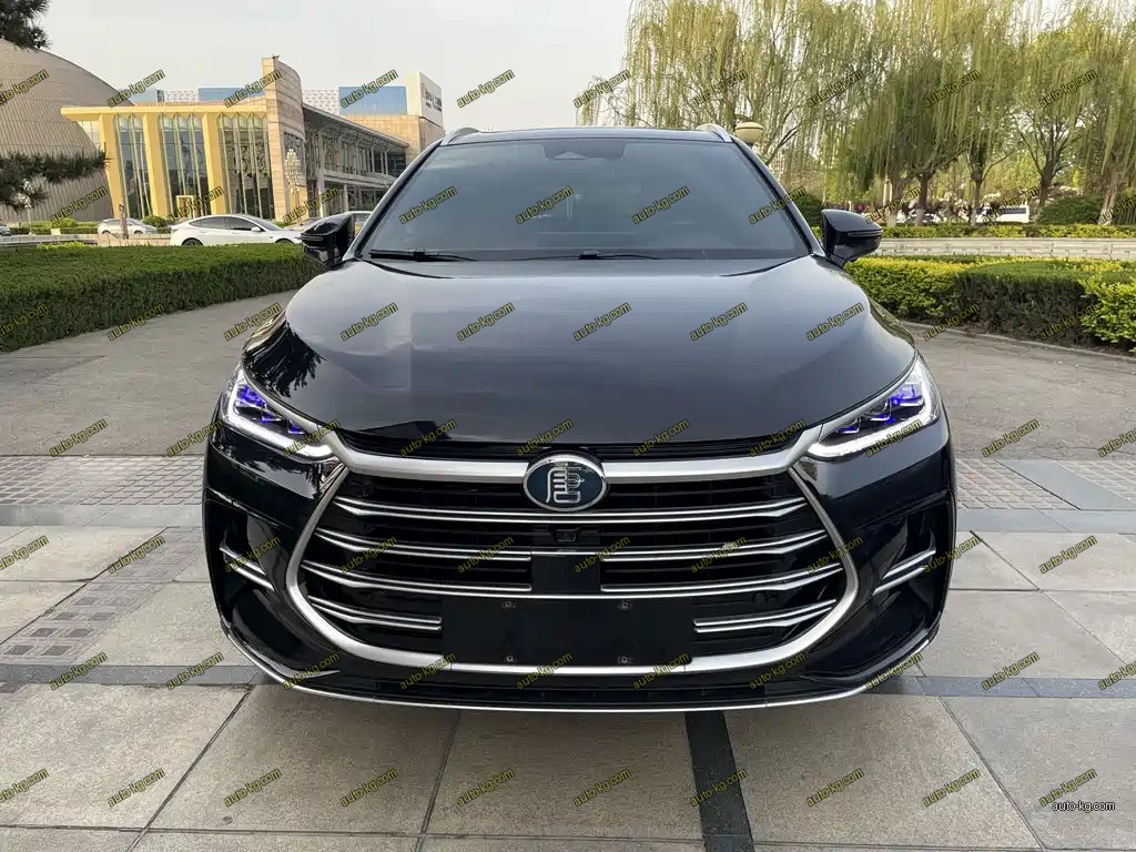 BYD Tang New Energy 2024