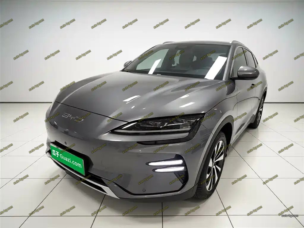 BYD PLUS New Energy 2023