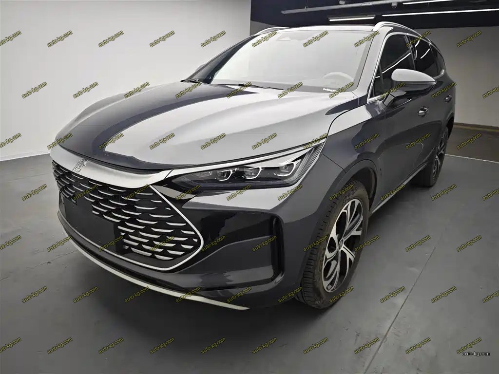 BYD Tang New Energy 2024