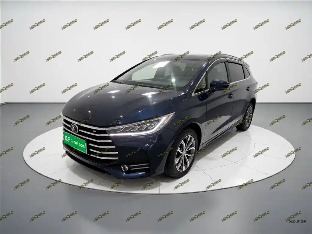 BYD MAX 2020