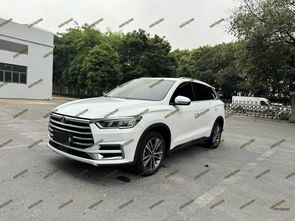 BYD Pro 2020