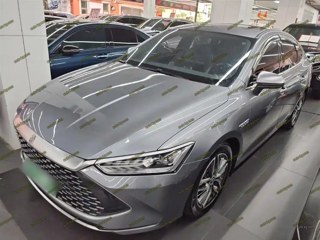 BYD Qin PLUS 2021
