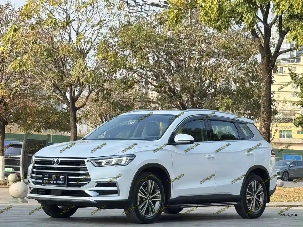 BYD Pro 2020