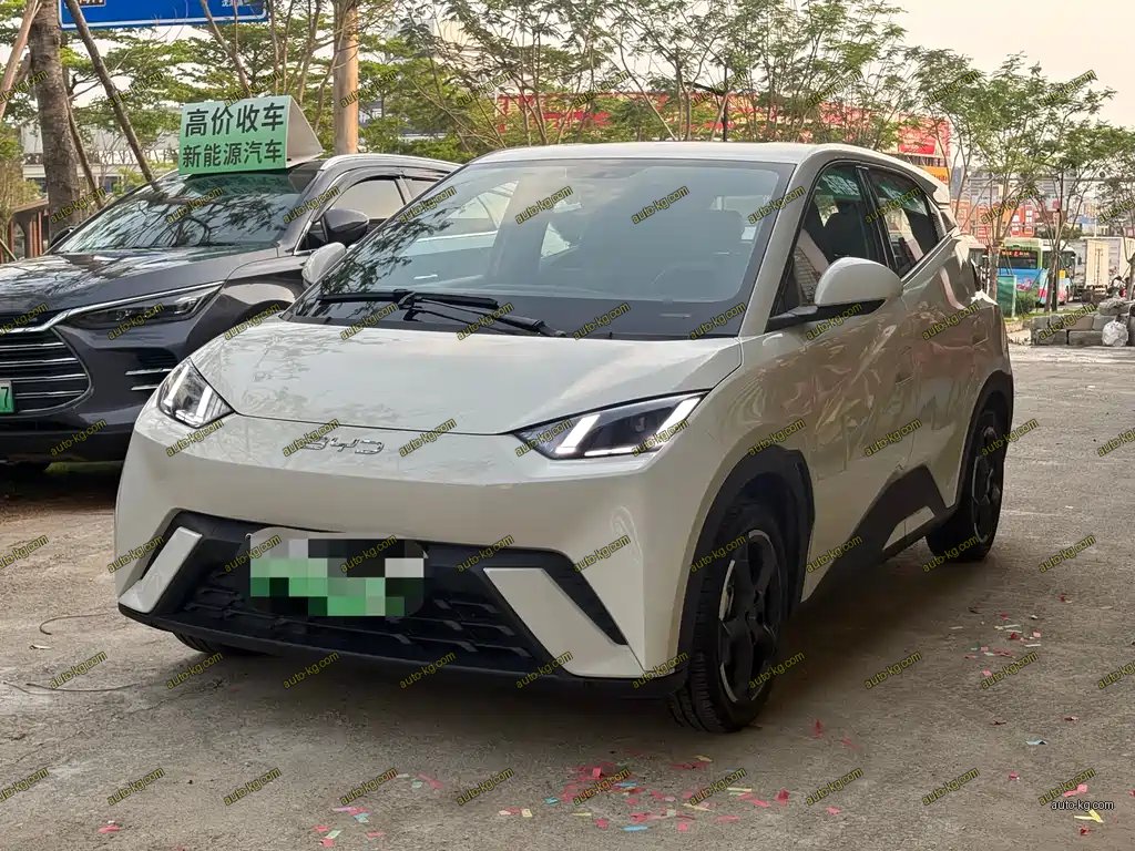 BYD Seagull 2023
