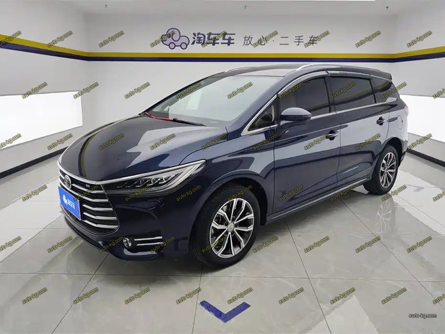 BYD MAX 2020