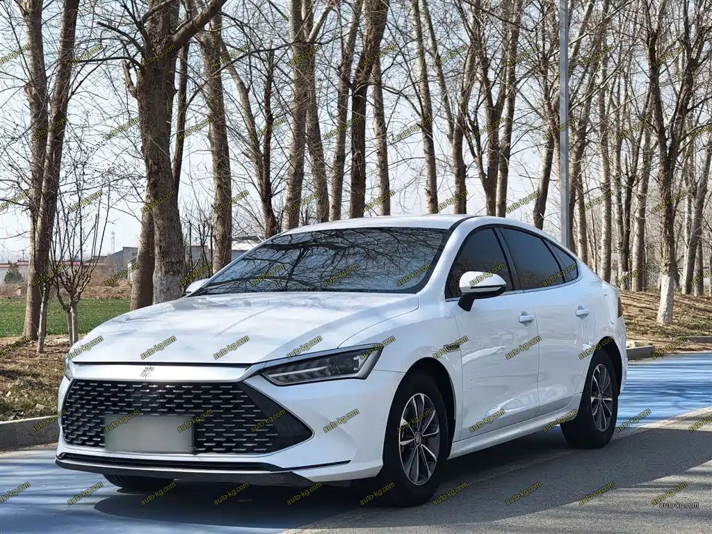 BYD Qin PLUS 2024