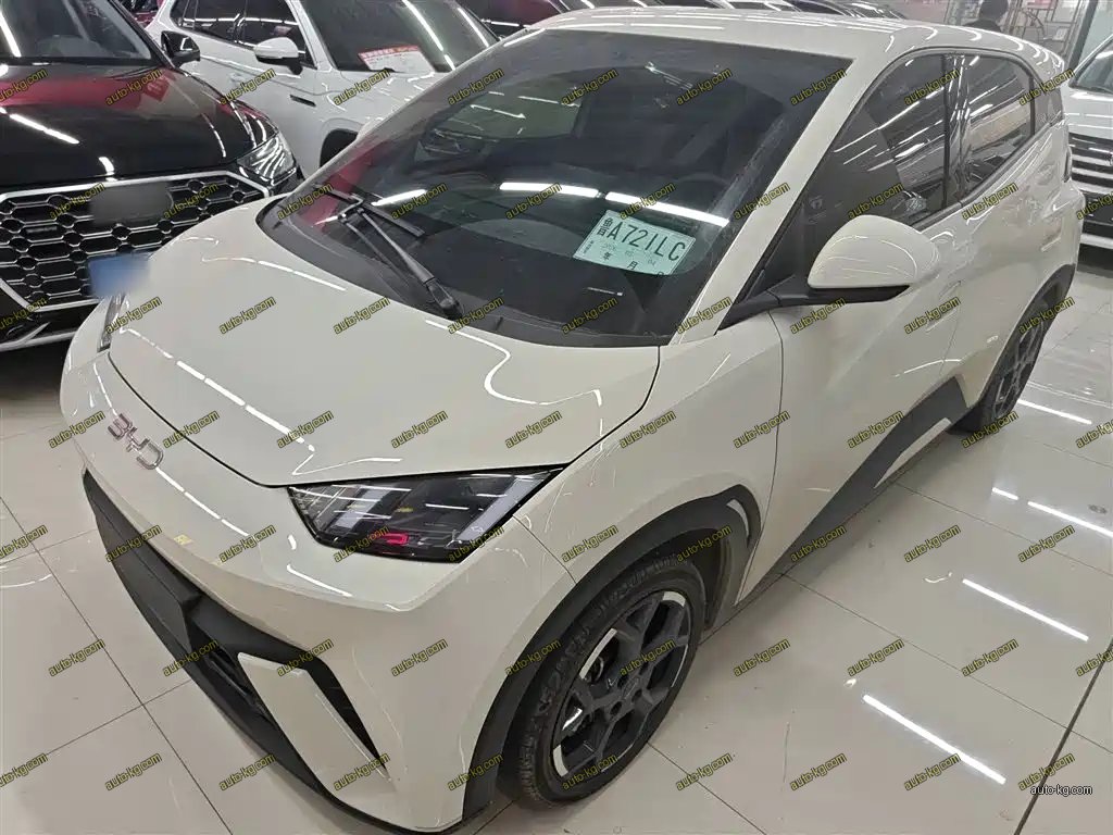 BYD Seagull 2024