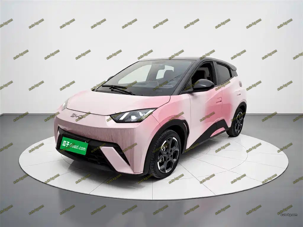 BYD Seagull 2024