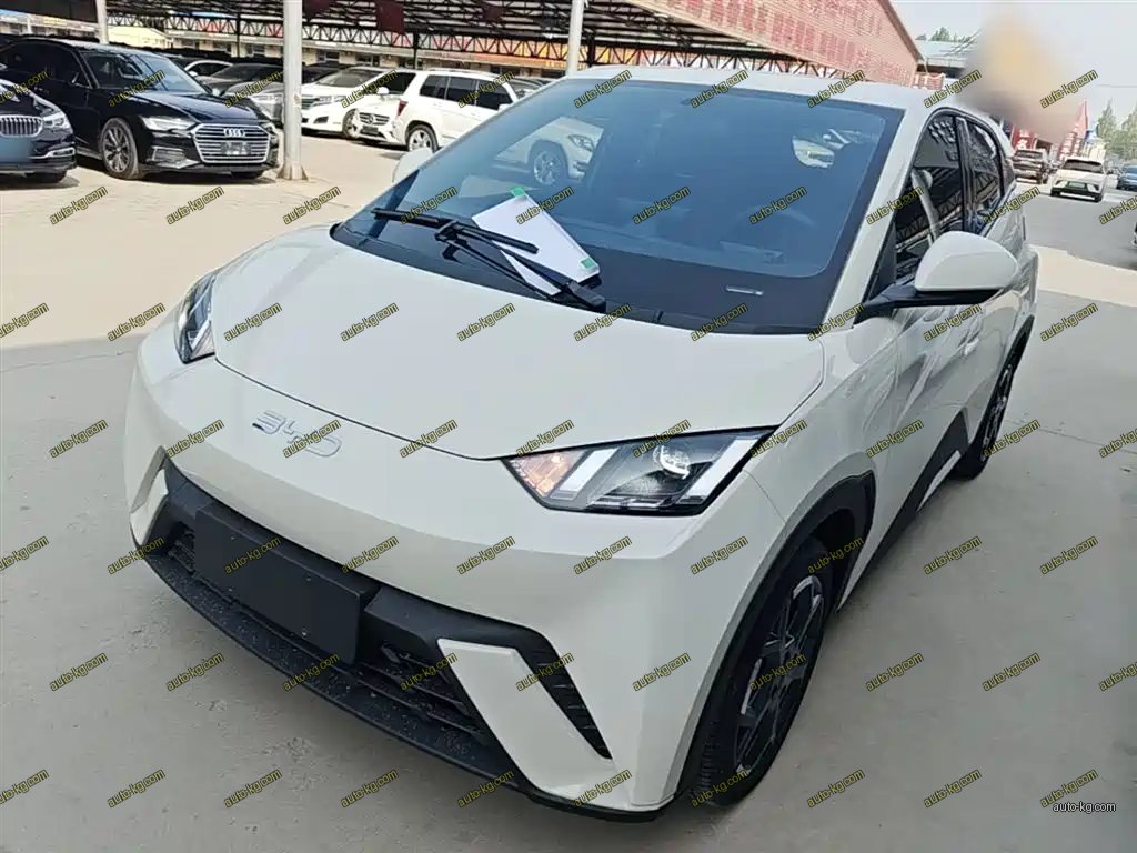 BYD Seagull 2025
