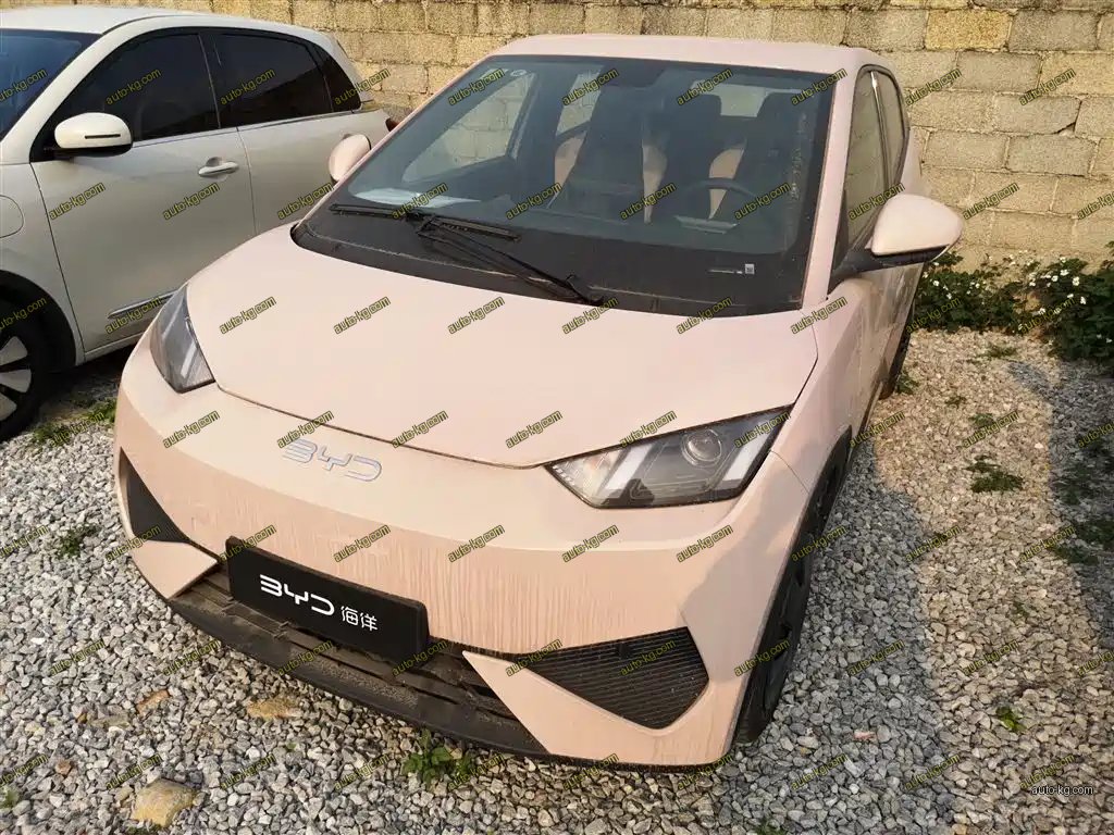 BYD Seagull 2025