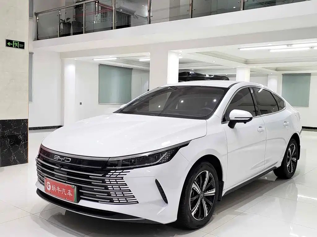 BYD Destroyer 05 2024