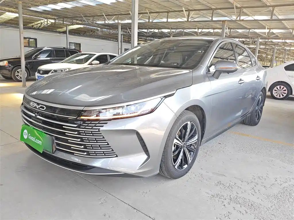 BYD Destroyer 05 2024