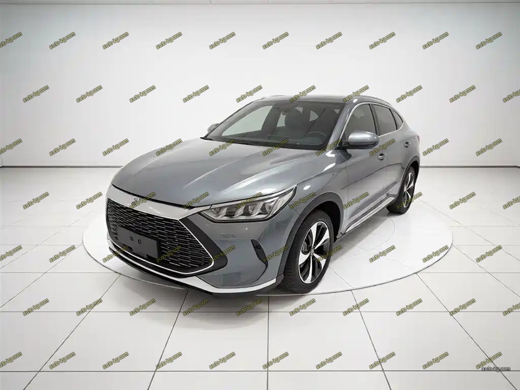 BYD PLUS New Energy 2022