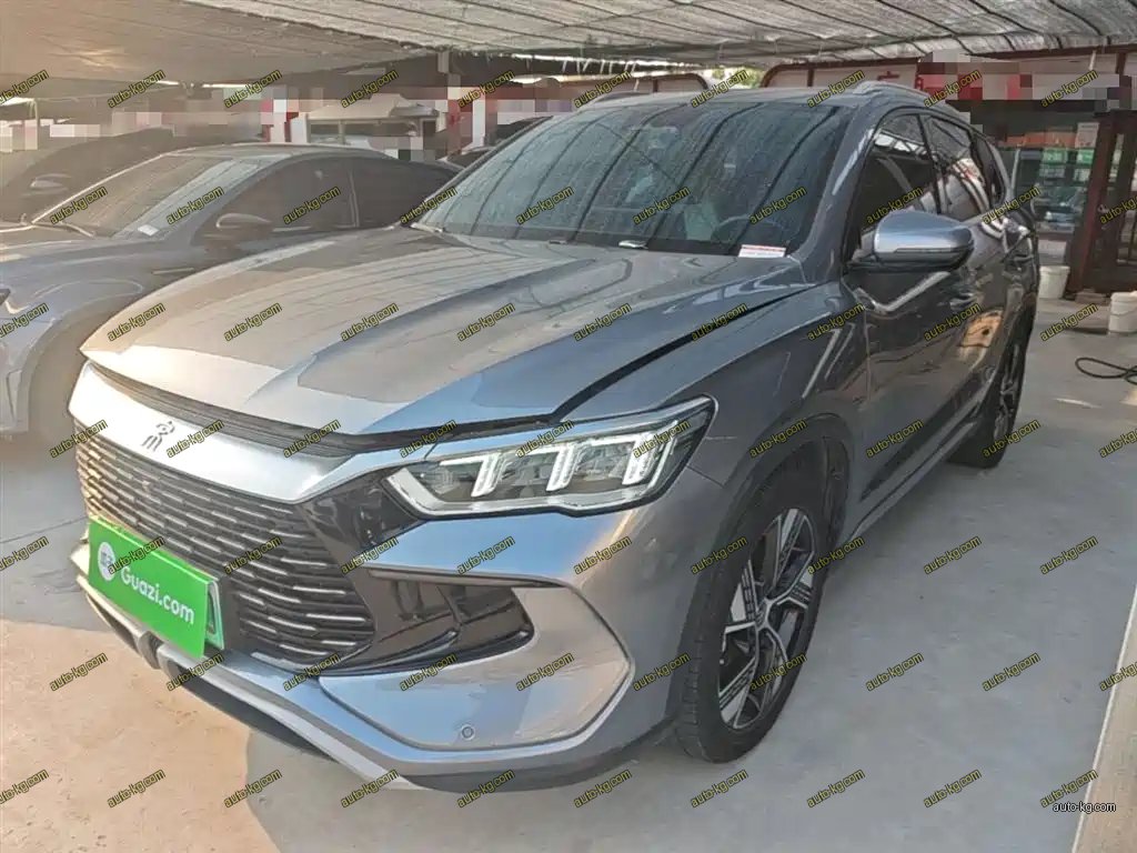 BYD Pro New Energy 2024