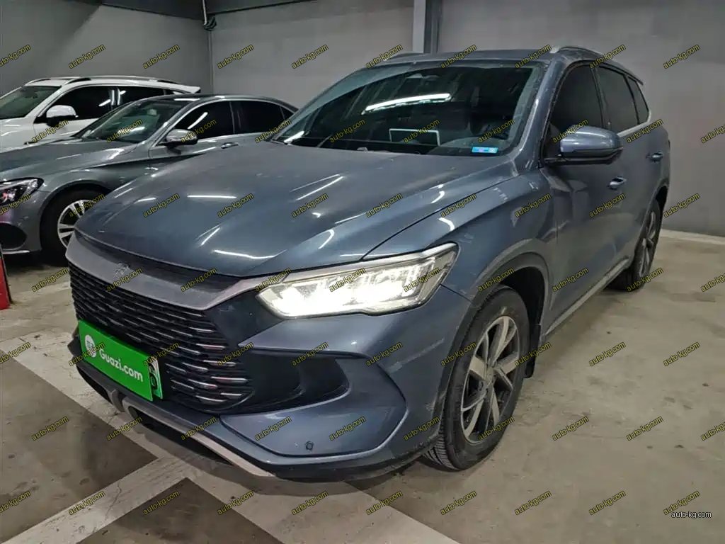 BYD Pro New Energy 2024