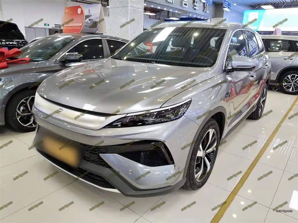 BYD Pro New Energy 2025
