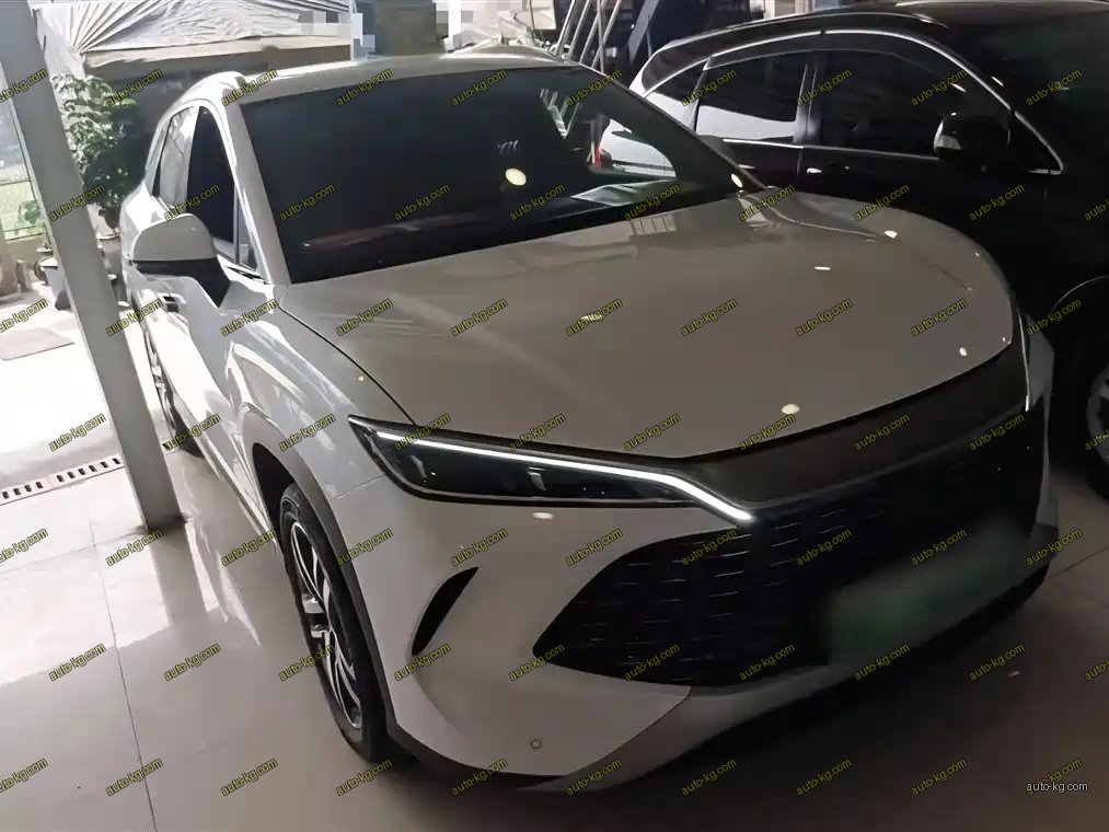 BYD L DM-i 2024