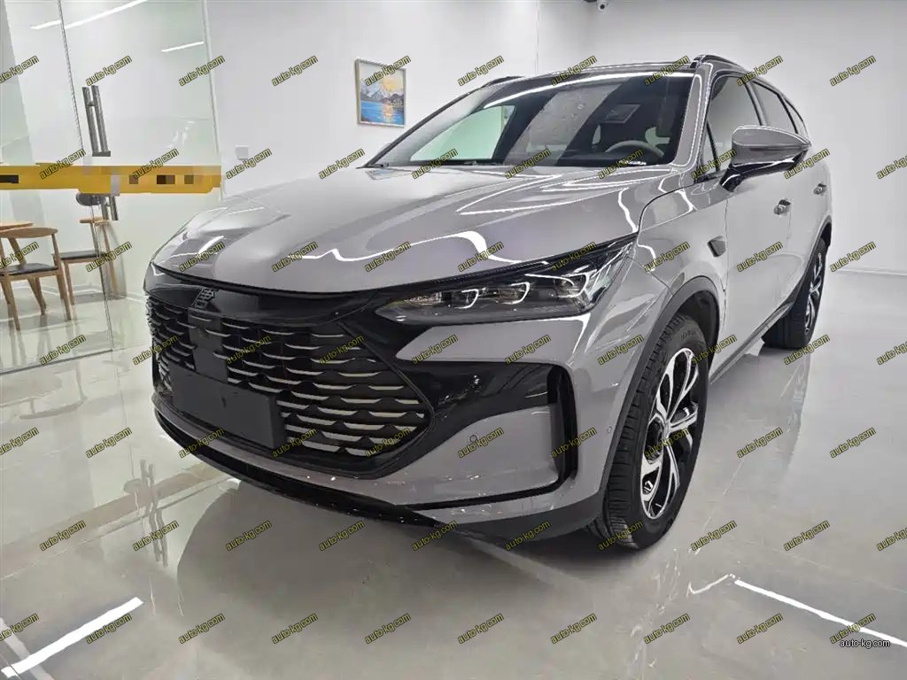 BYD Tang New Energy 2025