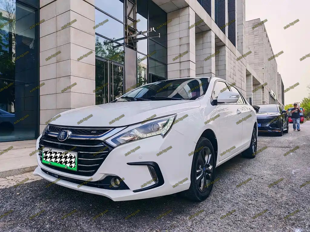 BYD Qin NEV 2019