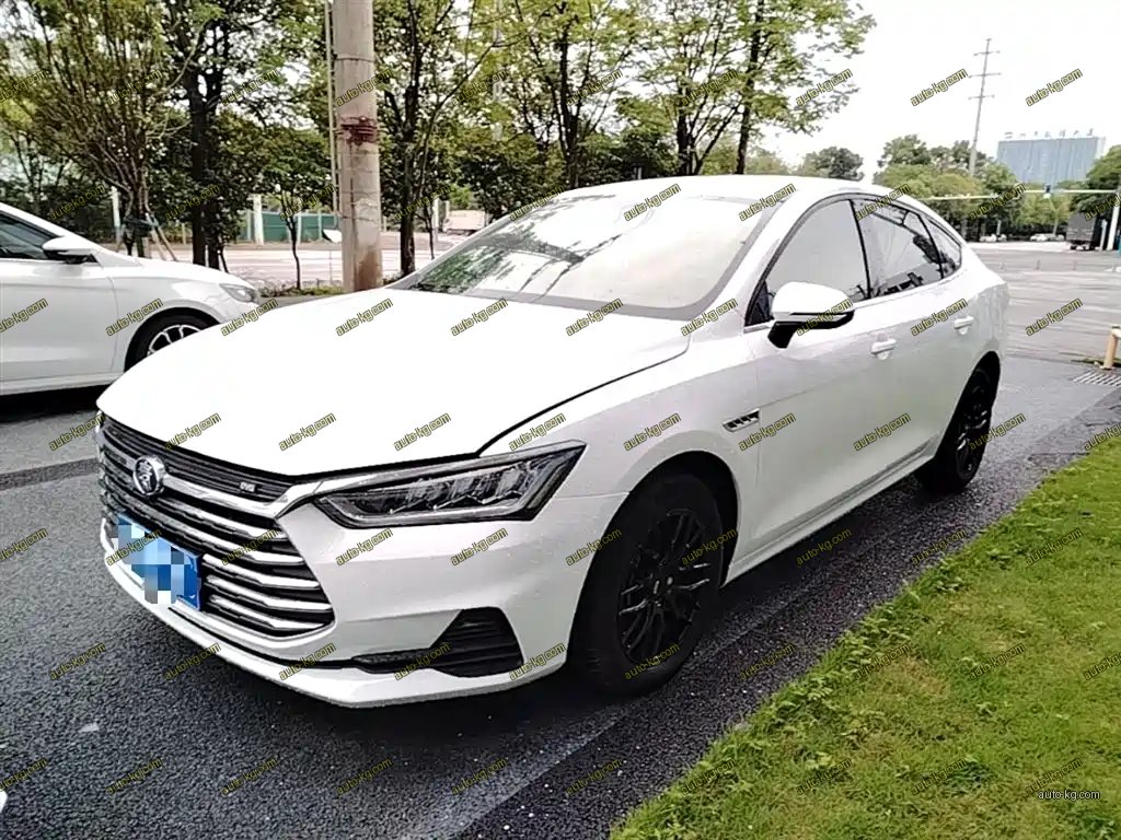 BYD Qin Pro 2020