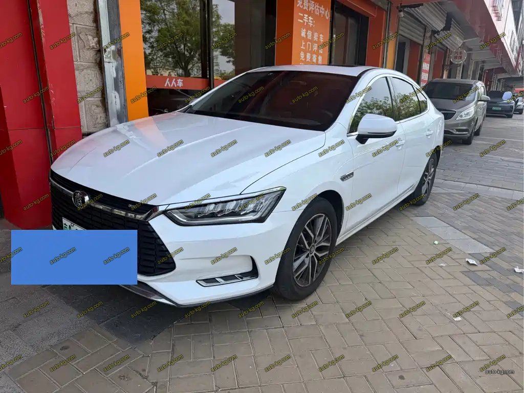BYD Qin Pro NEV 2019